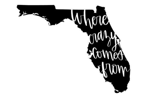 Florida Where Crazy Comes from: A Designer's Review